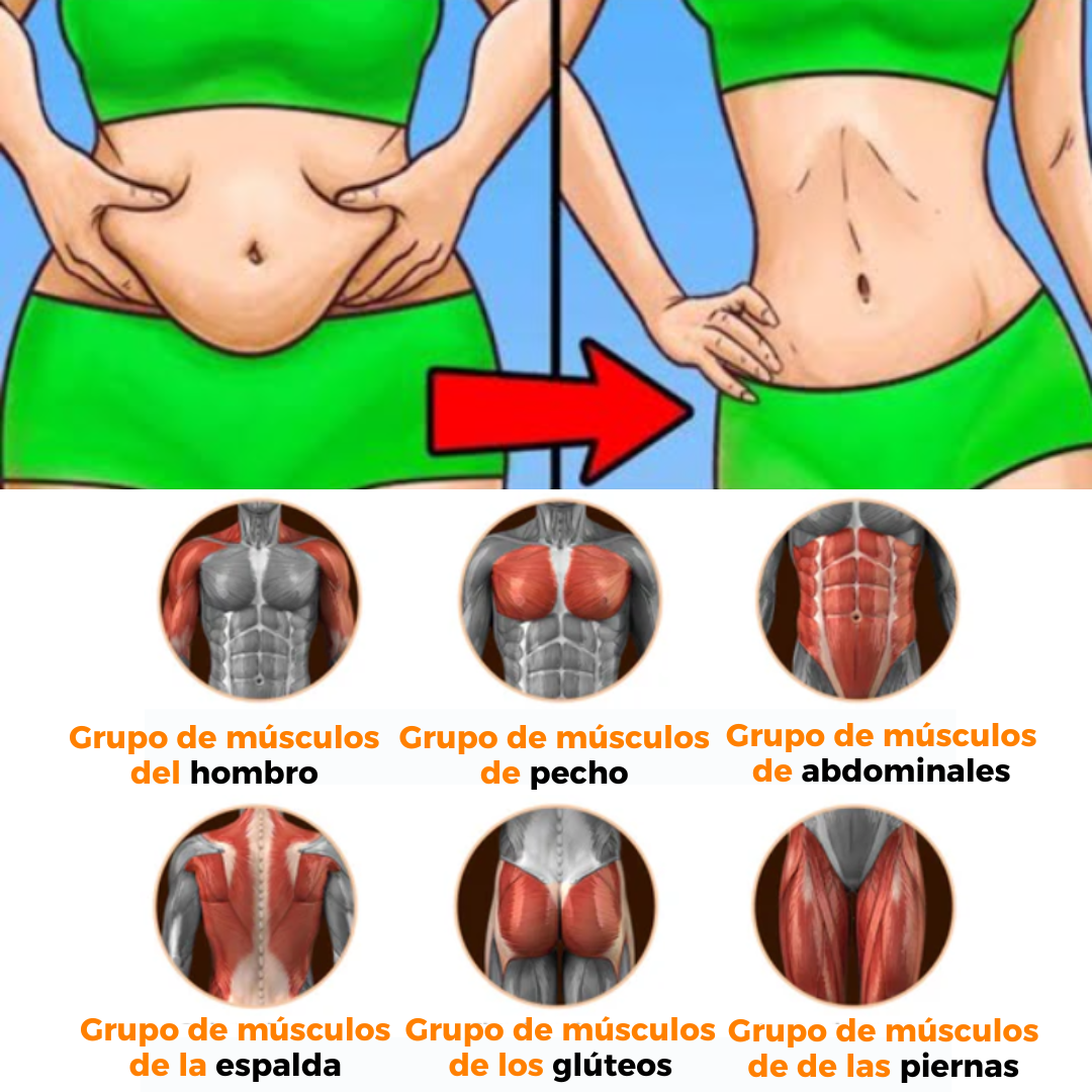 RODILLO ABDOMINAL PRO 🏋️ TONIFICADOR DE MUSCULOS💪